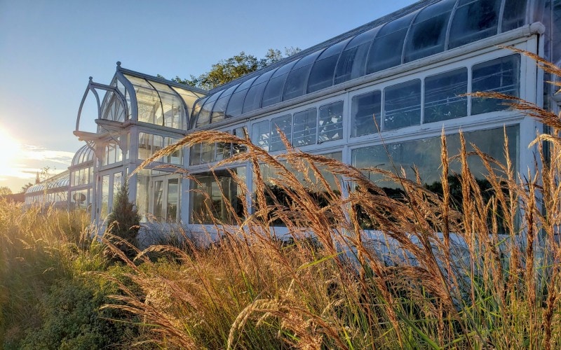 Oak Park Conservatory