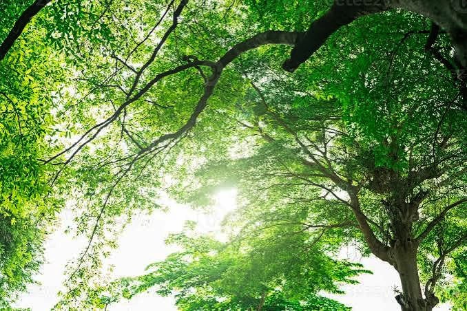 dtop-goes-green